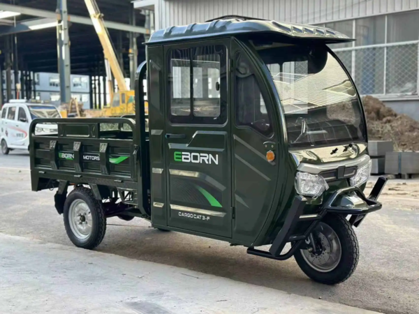 Eborn CargoCat 3-S (25km/h)
